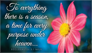 Seasons Bible Verse