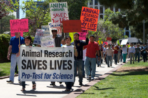 Pro Animal Testing Statistics