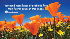 Top 15 Most Researched Probiotic Strains