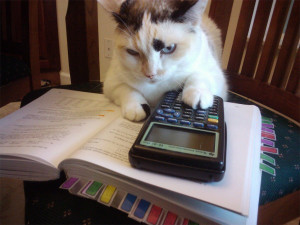 Silly cat, that's clearly a TI-83. It doesn't even do symbolic ...