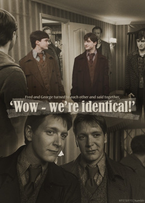 Harry Potter Fred And George Love