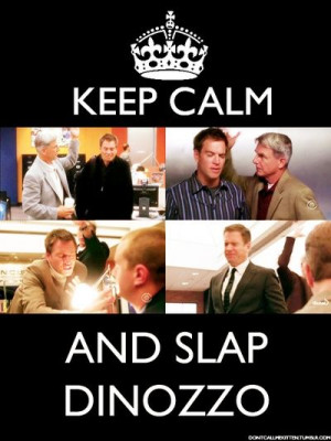 Love NCIS! Keep calm and slap DiNozzo