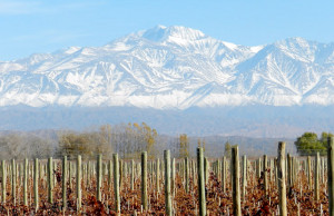related quotes for argentina wine regions here are list of argentina ...