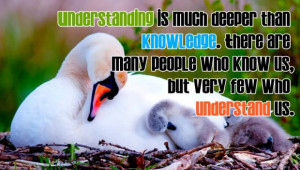 understanding is much deeper than knowledge