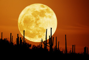 This year the Harvest Moon, the full moon closest to the time of the ...