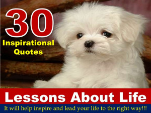 30 Inspirational Quotes Lessons About Life It will help inspire and ...