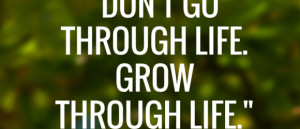 Don't grow through life Grow through life Bamboo Core
