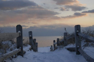 Cape Cod in winter. I'm living here.