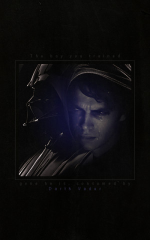 Twisted by the dark side, young Skywalker has become.