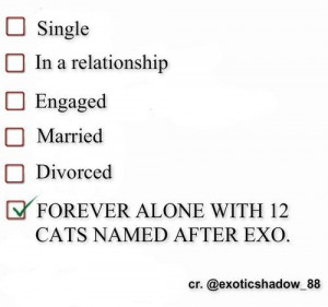 Forever Alone with 12 cats named after Exo