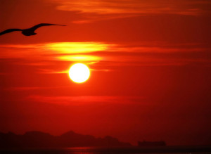 ... it takes much more strength to know when to let go and then do it