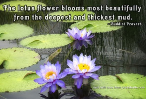 Lotus Flower FREE to send e Card with Buddhist quote | Joyful ...