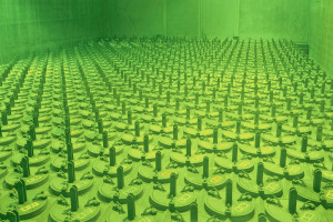 Is Nuclear Waste Green Nuclear waste is in dry