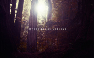 cute, forest, photography, quote - inspiring picture on Favim.com on ...