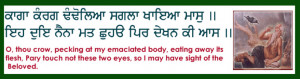 from page 1377 to 1384).Here are few sloks from Sri Guru Granth Sahib ...