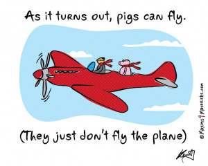 As it turns out, pigs can fly… (funny pic)