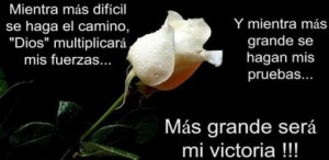 TIPO DE BÚSQUEDA Aplicaciones Android Aplicaciones iPhone Artículos ...