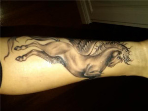 Related Pictures pegasus tattoo picture
