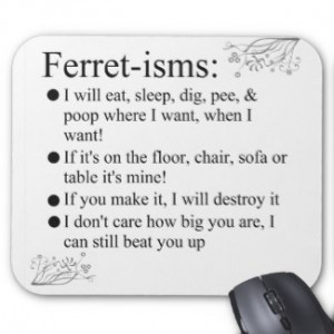 ferret isms sayings by visages browse other ferret mousepads