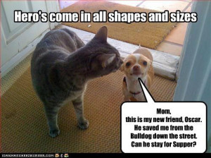 Funny Jokes / Pictures Details | Category: Funny Pictures ...