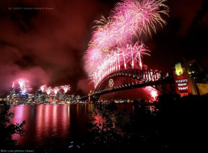 firework australia sydney harbor harbour pink happy new year celebrate ...