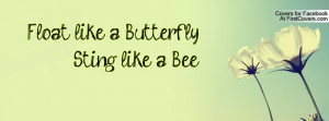 float like a butterfly..... sting like a bee... , Pictures