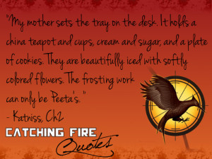 Catching-Fire-quotes-21-40-catching-fire-32787711-500-375.png