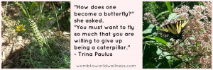 butterfly transformation with quote
