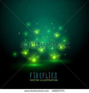 glowing fireflies a group of