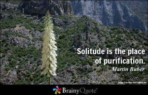 Solitude is the place of purification. - Martin Buber