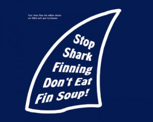 Has Year Old Shark Protection Law Helped Ban Shark Fin Soup?