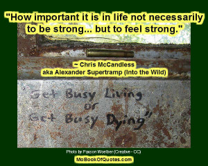 Chris McCandless Journal Quotes