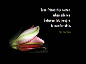 ... When Silence Between two People is Comfortable ~ Friendship Quote