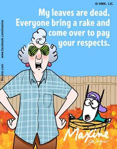 maxine pay your respects with a rake more rake leaves maxine s wisdom ...