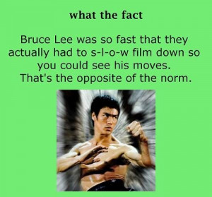 Bruce lee sayings quotes and about himself movies