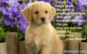 ... Quotes about Dogs: Cute Golden Retriever Puppy And Flowers Photo With
