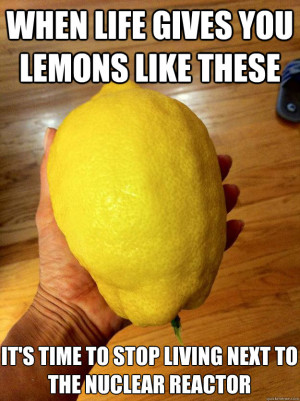 when life gives you lemons like these its time to stop livi -