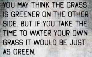 You may think the grass is greener on the other side.But if you take ...