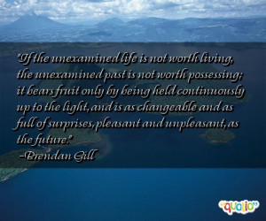If the unexamined life is not worth living, the unexamined past is not ...