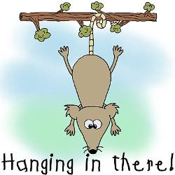 hanging_in_there_greeting_card.jpg?height=250&width=250&padToSquare ...
