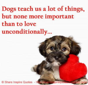 Dogs teach us a lot of things, but none more important than to love ...