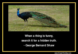When a thing is funny, search it for a hidden truth.