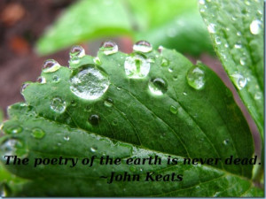 ... quotes for Earth Day, which we are celebrating this week