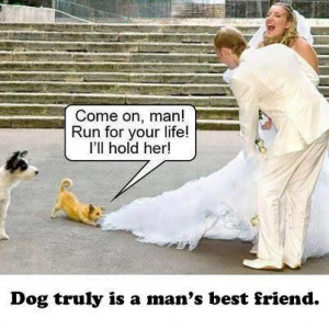 Funny Quotes Of Movies