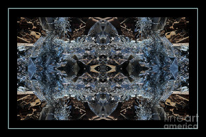 Trash To Treasure Photograph - Trash To Treasure Fine Art Print