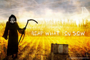 You Reap What Sow Quotes