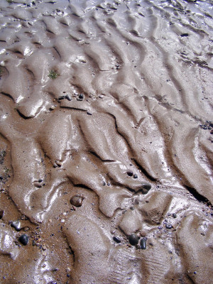 Mess, Muddle, and Fun