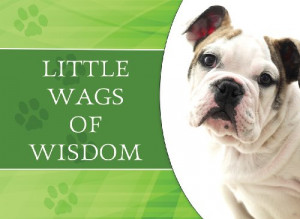 Little Wags Wisdom Life Book