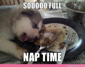 SOOOOO FULL, NAP TIME