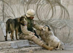 When you select any Amazon item to buy from the Voices Education ...